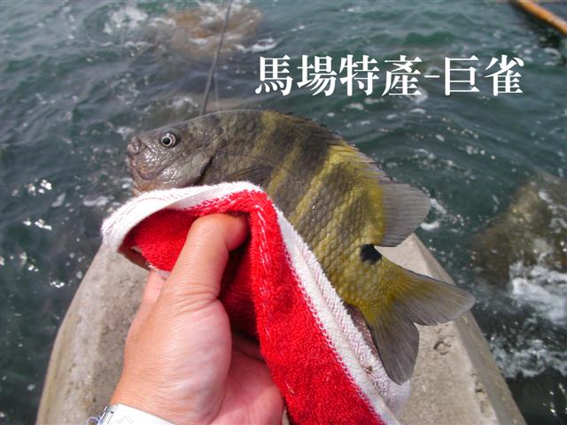 [SANY0012+(Small).jpg]