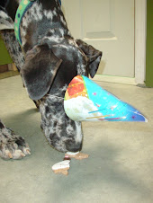 Happy Birthday Roxy!