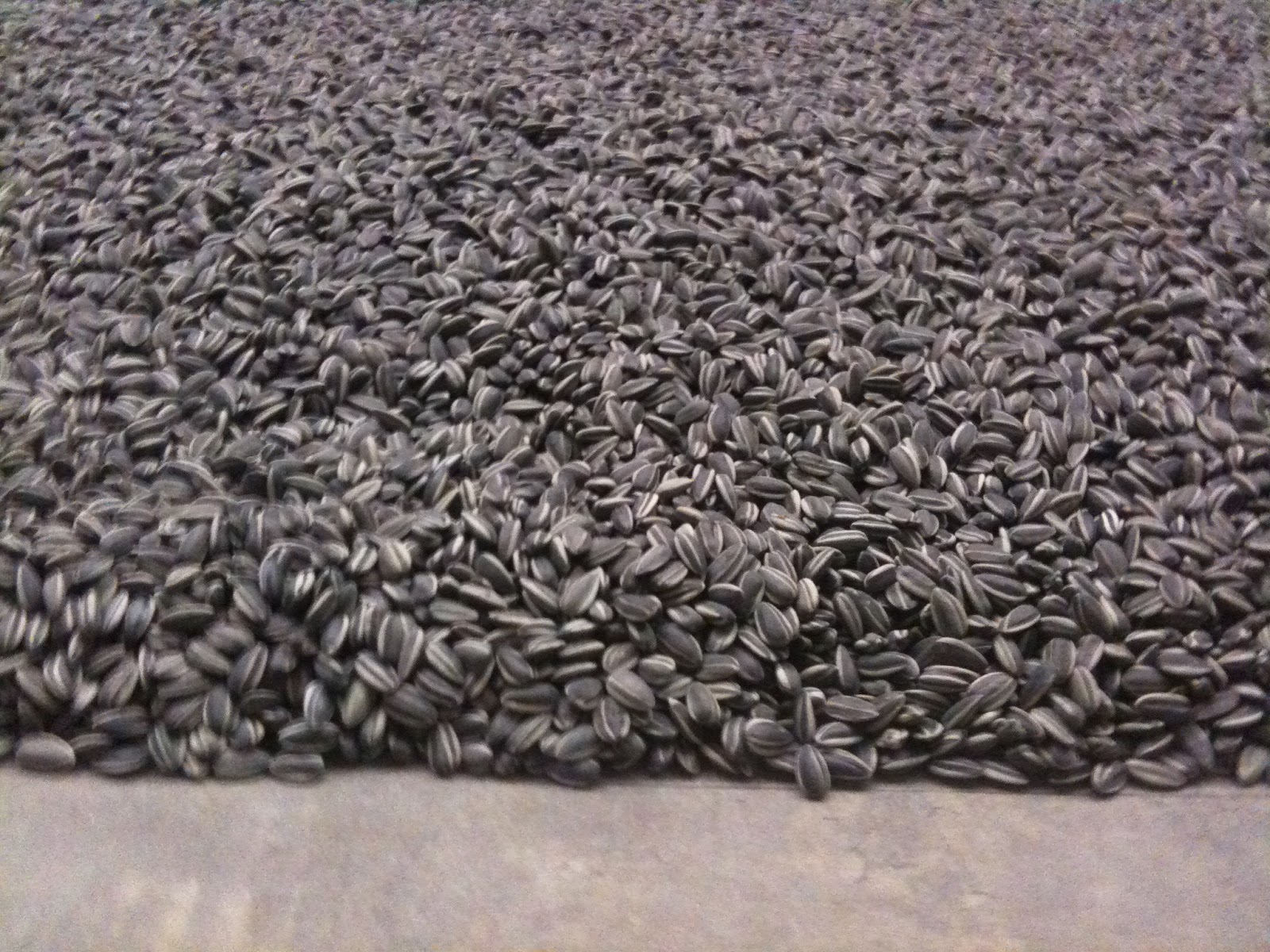 Oot and Aboot London Ai Weiwei's Sun flower Seeds