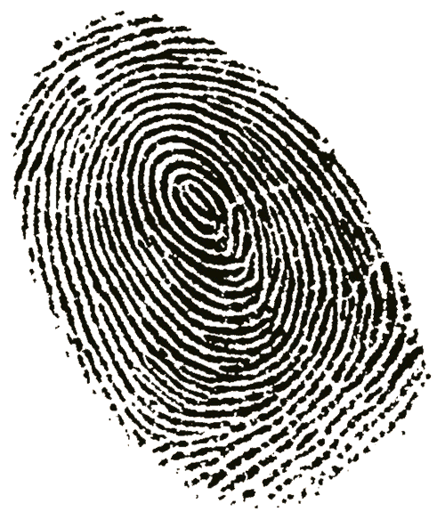 [fingerprint2.gif]