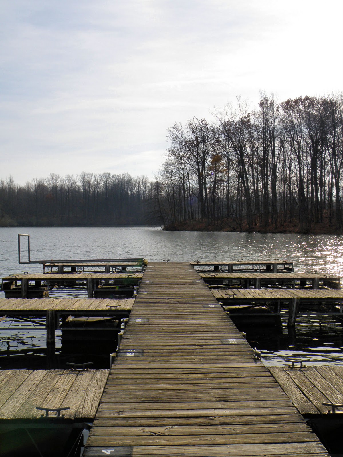 Hoosier Safari Potato Creek State Park