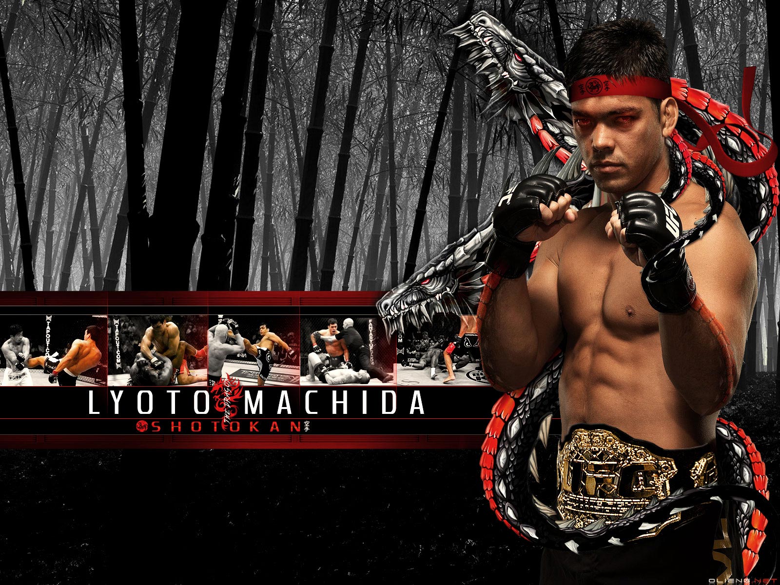 http://3.bp.blogspot.com/_ktpxbQsto34/TSo-AAYuCZI/AAAAAAAAA6U/vclkPikVe3U/s1600/Lyoto-Machida-UFC-Wallpaper.jpg