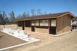 coop chicken walls paint