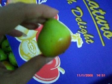 Paradise Pear!