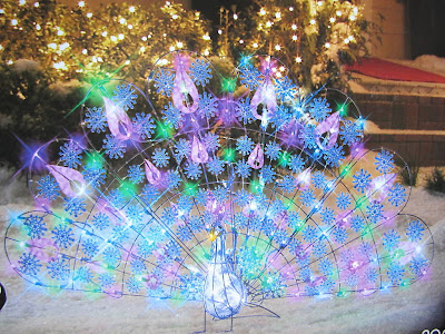 The Peacock Fairy: November 2010