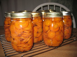 carrots canning canned bottling canner bottled fresh american recipes jar jars preppers there steps water pressure because bag fall network
