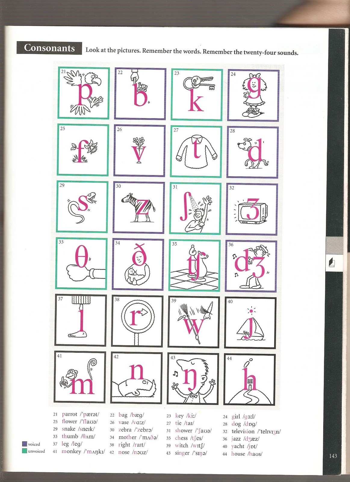Addicted To English Phonetic Symbols