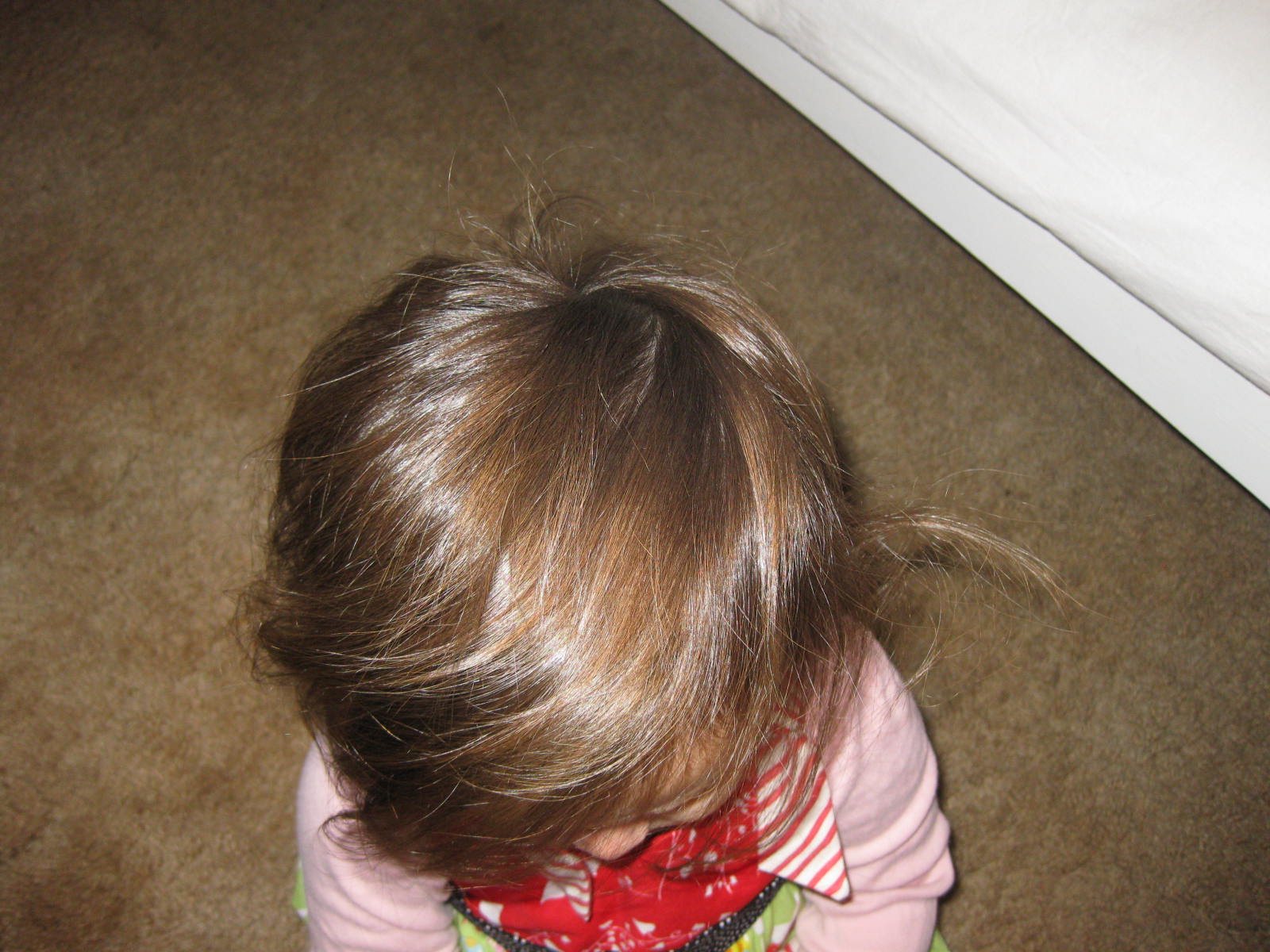 Studio 128 Oh Baby Bangs!