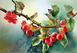 mortimer ann crab apples rain watercolor redbubble painting paintings anne flower watercolour story цветы flowers artist dibben emma seattle tree