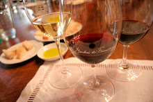 Formal Wine Tasting at Nipozzano