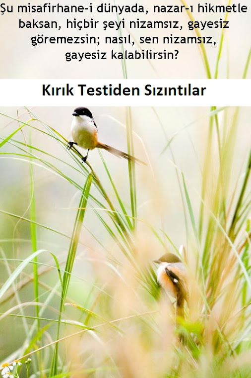 KIRIK TESTIDEN SIZINTILAR