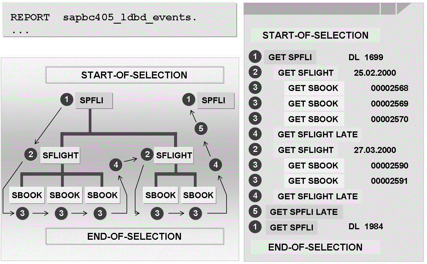 SAP Certified ABAP Consultant Introduction to Logical Databases