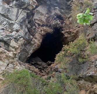 [forest_cave.jpg]