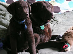 My Babies: Eddie and Brandi