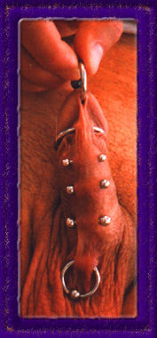 body piercing male genital piercing