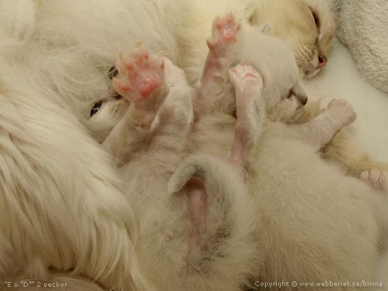 [20090425e-d2asn.jpg]