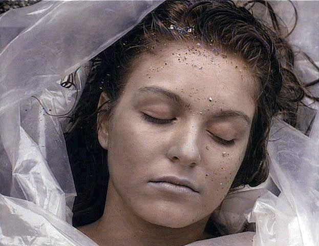 [halloween2008_projectomarginal.gif]