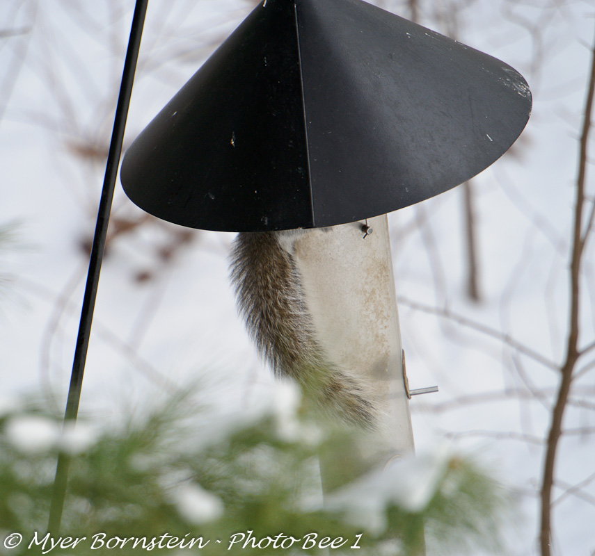 Heres looking at you