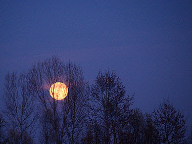 Questa luna è per Pietro. Foto di Andrea Mangoni.