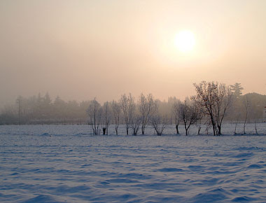 La campagna sotto la coltre di neve. Foto di Andrea Mangoni.