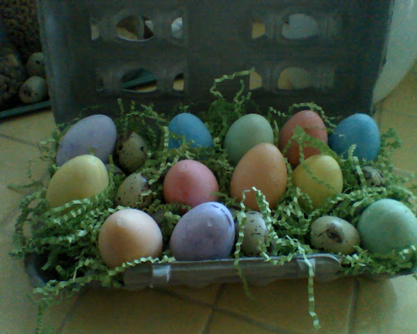 A touch of Easter in the kitchen