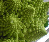 romanesca verdura fractal