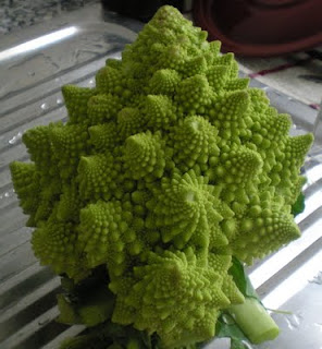 romanesca verdura fractal