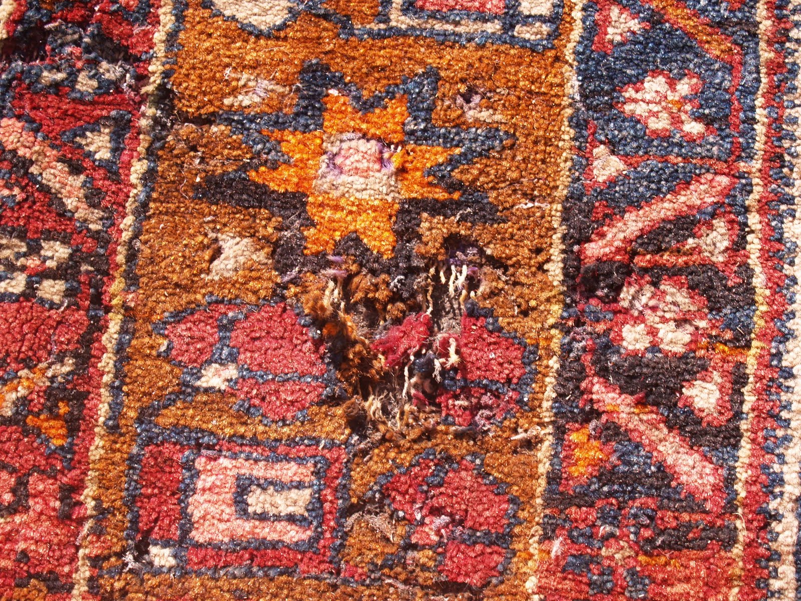 Rug Master Rug Moth Damage