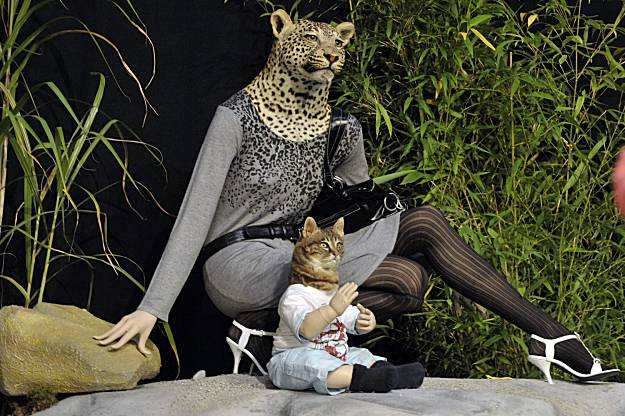 [Cat+Head+Mannequins+Dominic+Favre+Keystone+SF+Gate.jpg]