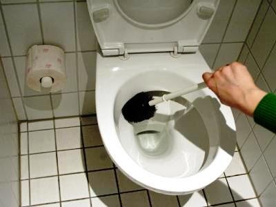 Правила пользования туалетом | В гостях хорошо, а дома лучше!