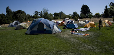 lawn covered in tents
