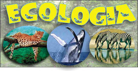 Insistir Pico Árbol Ecología: Ecología y su relación con otras ciencias
