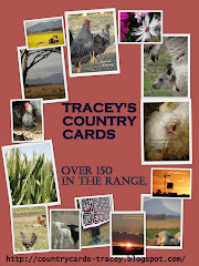 TRACEY'S COUNTRY CARDS