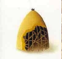 Avances tecnológicos 9: Evolución de la vivienda.