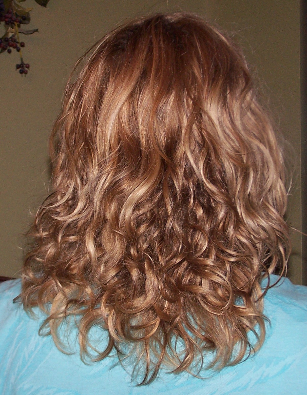 Cheri Quite Contrary Update On Curly Hair Progress Cheri Quite Contrary Update On Curly Hair Progress