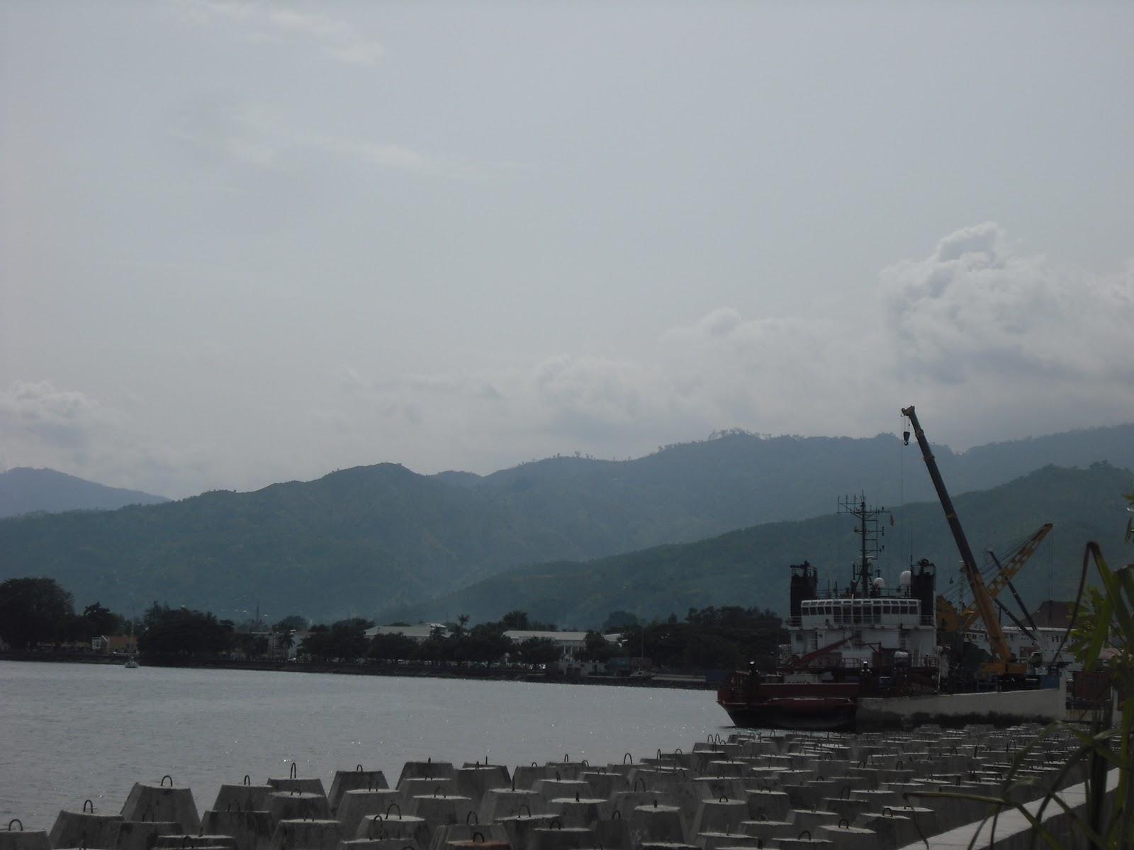 O Novo Selvagem Díli