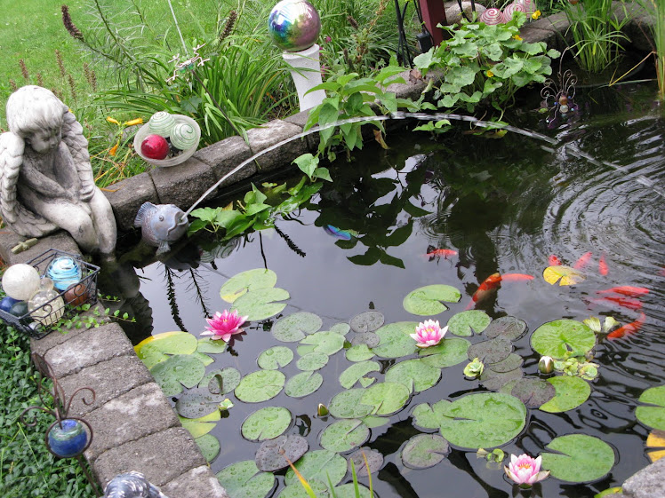 My pond in the Magic Garden