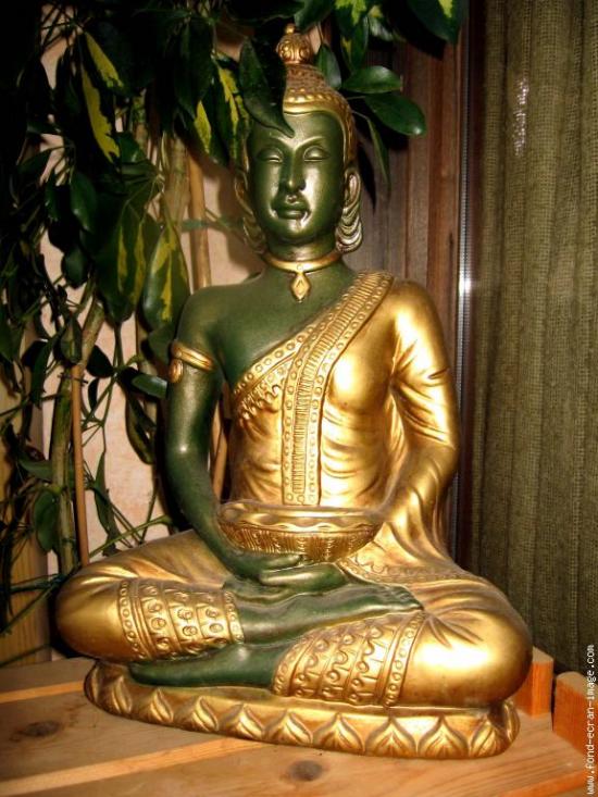 [Buddah.jpg]