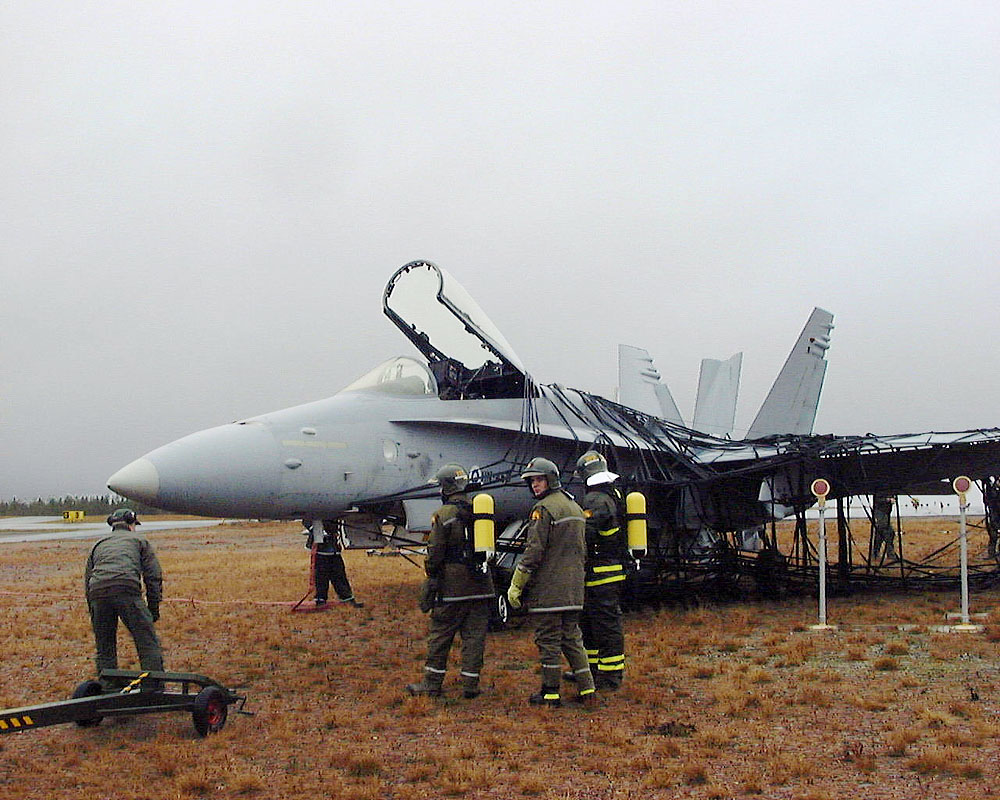 [hornetverkossa.jpg]