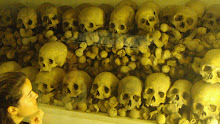 Many skulls in the crypt underneath the altar of the cathedral.