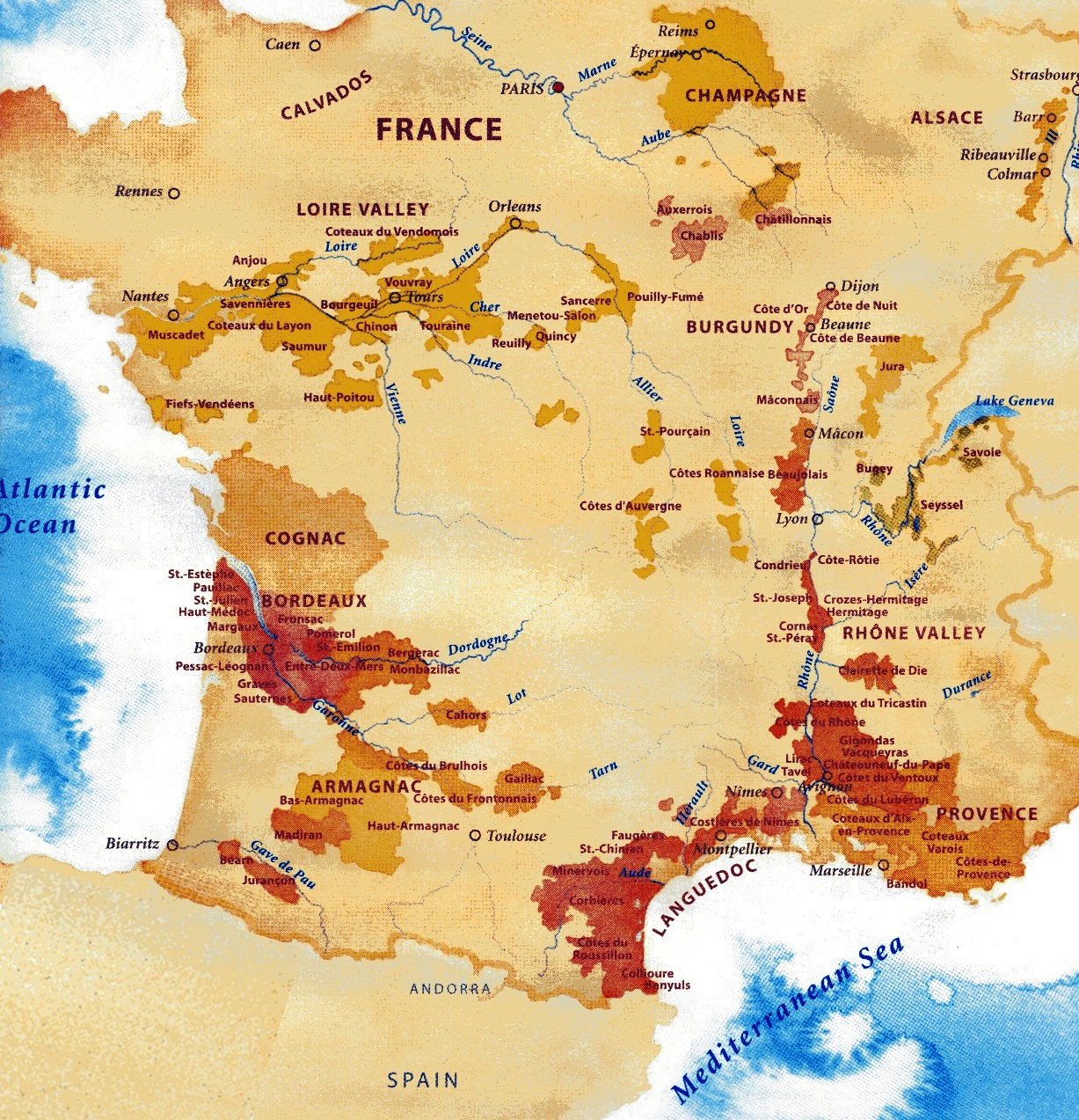 WINE AND BAR Francia