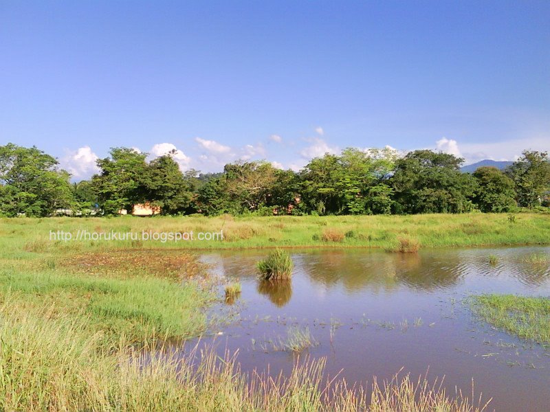 [DSC00847+penampang+small+pond.jpg]