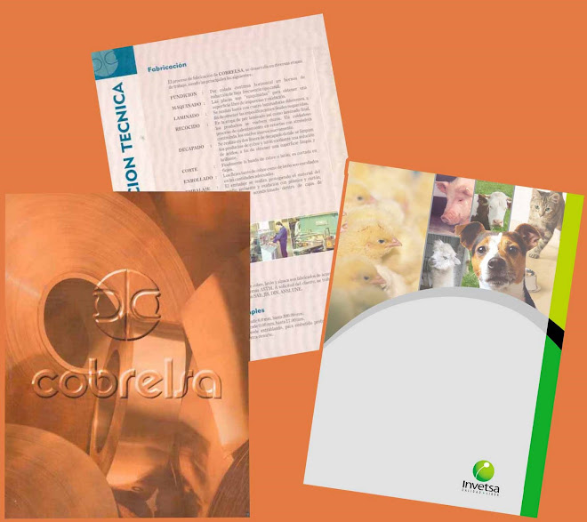 Brochure y Carpeta Institucional