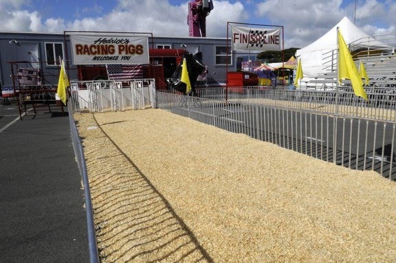 THE BALLOON MAN: 50th STATE FAIR PICTURES