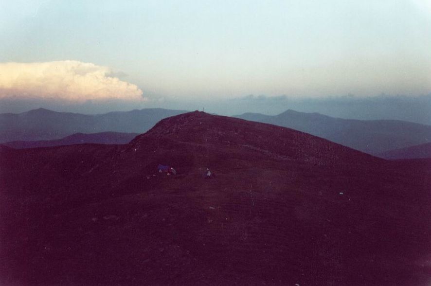 [Image-15.jpg]