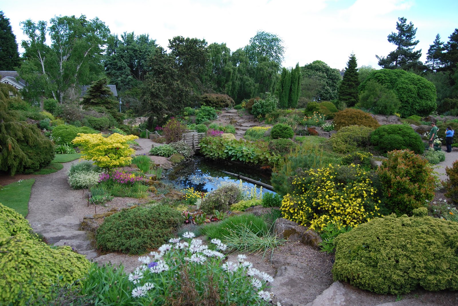 Jason Lattier's Garden Journal: Royal Botanic Gardens Edinburgh