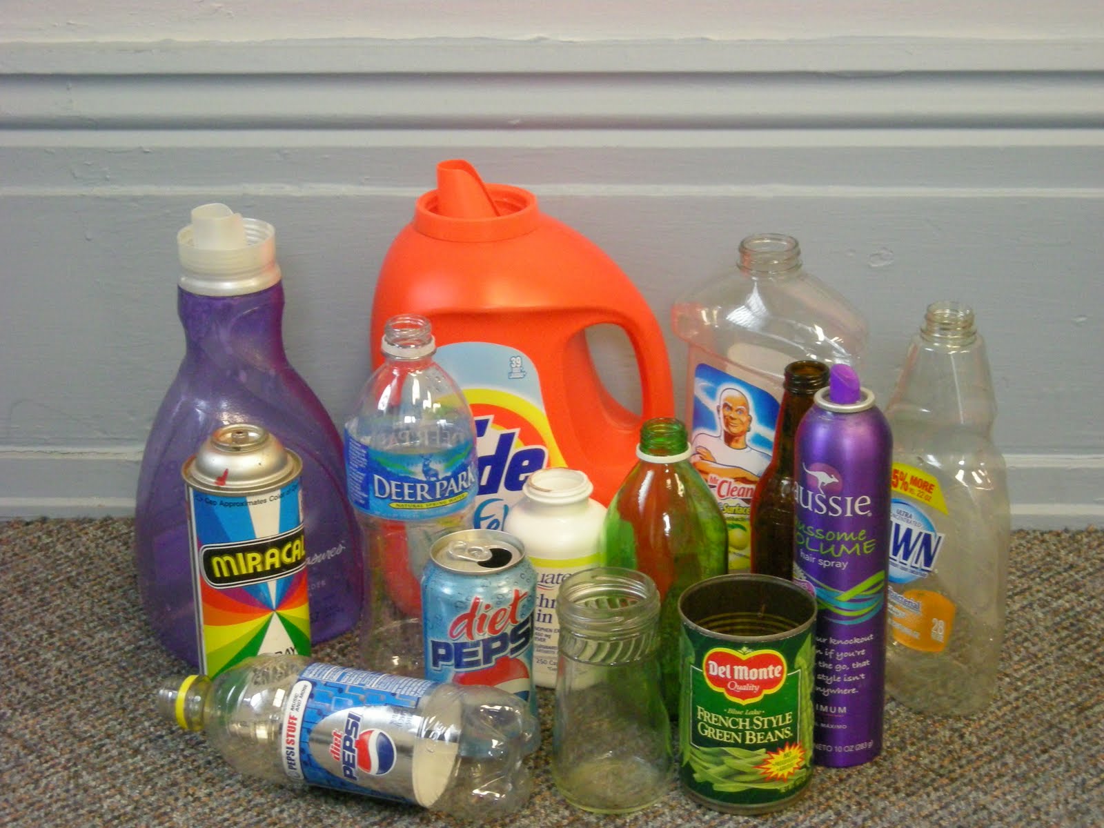 save the environment The Tasmanian Greens wants government help to