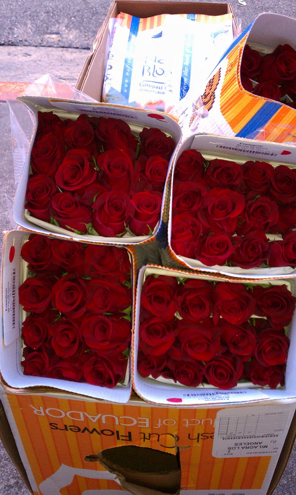 MilagraWholesaleFlowersLA Valentines's Day Special Flowers