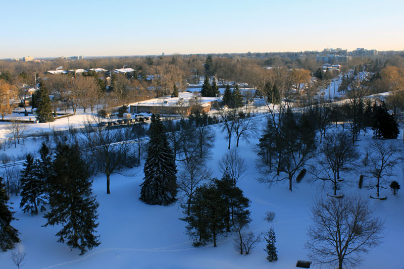 Intitle toshiba Network Camera User Login