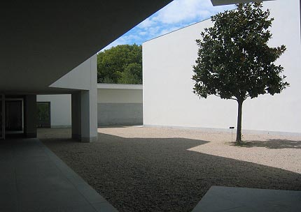 [Serralves.jpg]